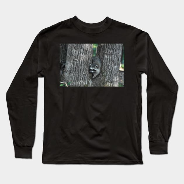 Baby Raccoon in a Tree Long Sleeve T-Shirt by MarieDarcy